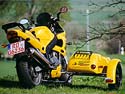 triumph_sprint_puppy2