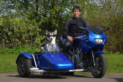 Yamaha TRX 850 mit dem Schwenker-Seitenwagen Dog-side